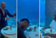 نجما ريال مدريد يهلوسان في مطعم فاخر وسط الأسماك.. فيديو