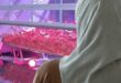 فازت 4 مرات.. معلومات عن مصرية تورطت بقضية سحوبات الكويت