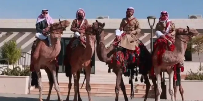 بالفيديو.. شباب أردنيون يروون تجربتهم في السفر لأداء مناسك العمرة على ظهر الإبل