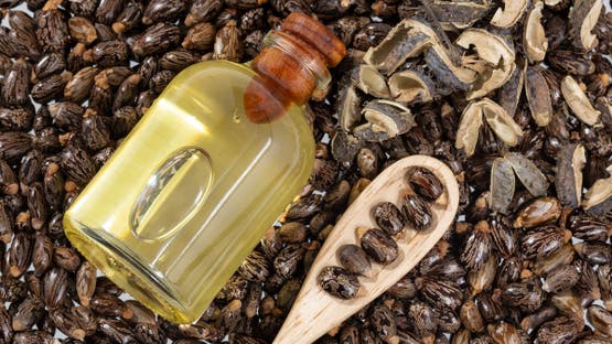 “استخدمته كليوباترا”.. فوائد صحية لزيت الخروع