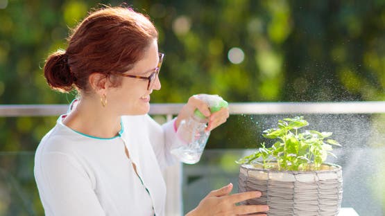 قرار أسعد سيدات مصر.. تفاصيل رواتب شهرية وتأمين صحي لربات البيوت