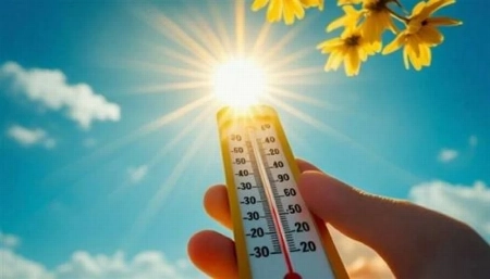 لماذا تقتل حرارة 35 درجة في أوروبا بينما نتعايش مع 50 درجة؟