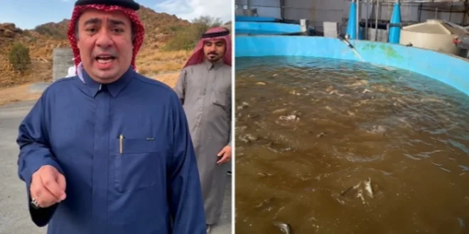 بالفيديو.. صاحب أول مزرعة سلمون بالمملكة يكشف سر نمو الأسماك بالأكسجين وحجم الإنتاج السنوي